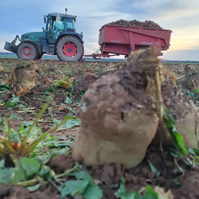 vente de produits locaux à Saint-Pompain près de Niort dans les Deux-Sèvres 79