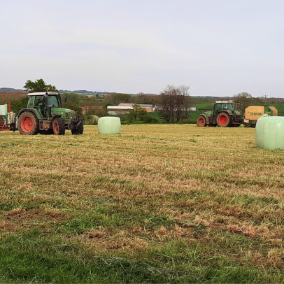 ferme bovine à Saint-Pompain près de Niort dans les Deux-Sèvres 79