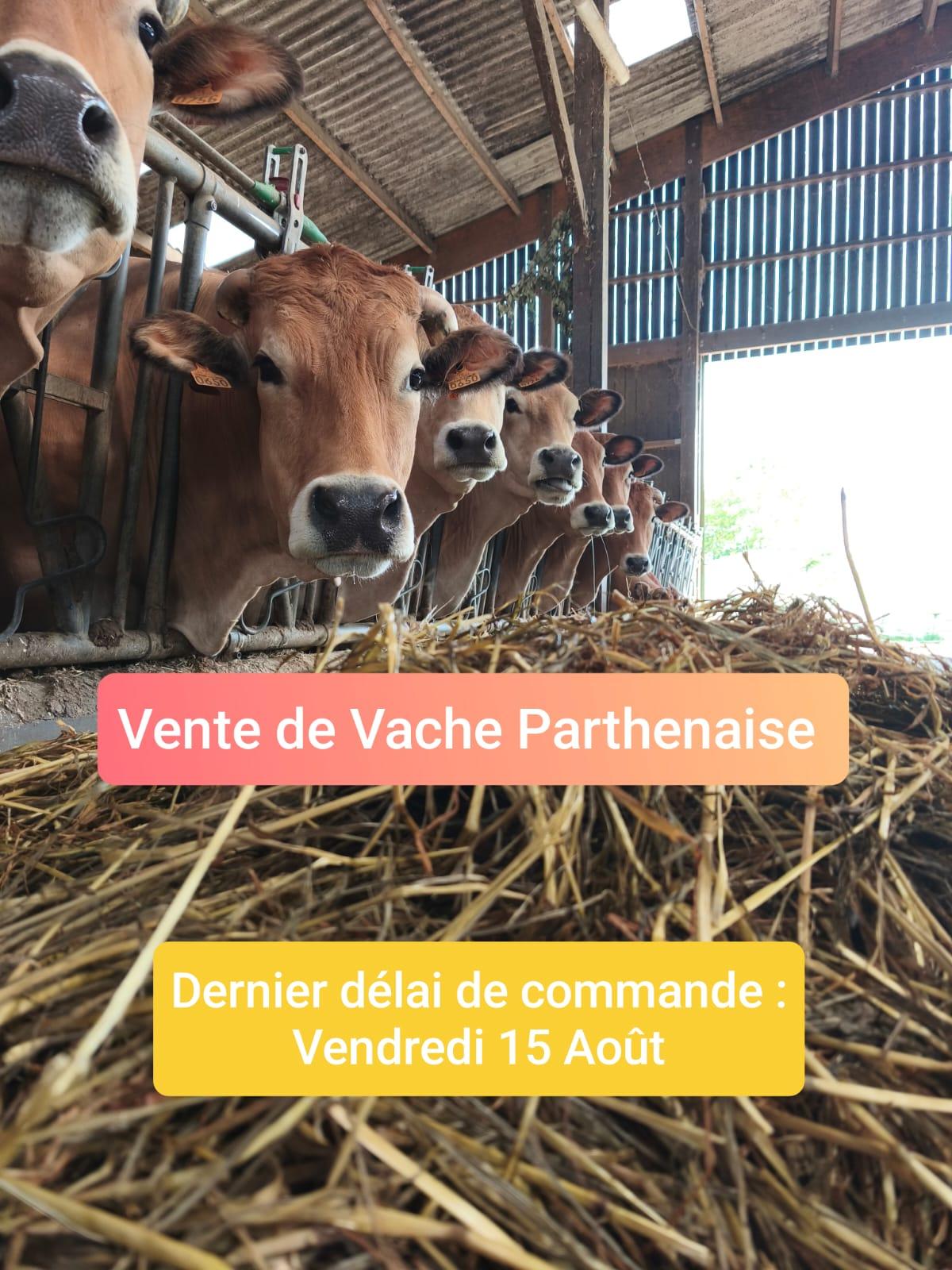 📦🐮🐂 Vente de Vache Parthenaise 🐂🐮📦