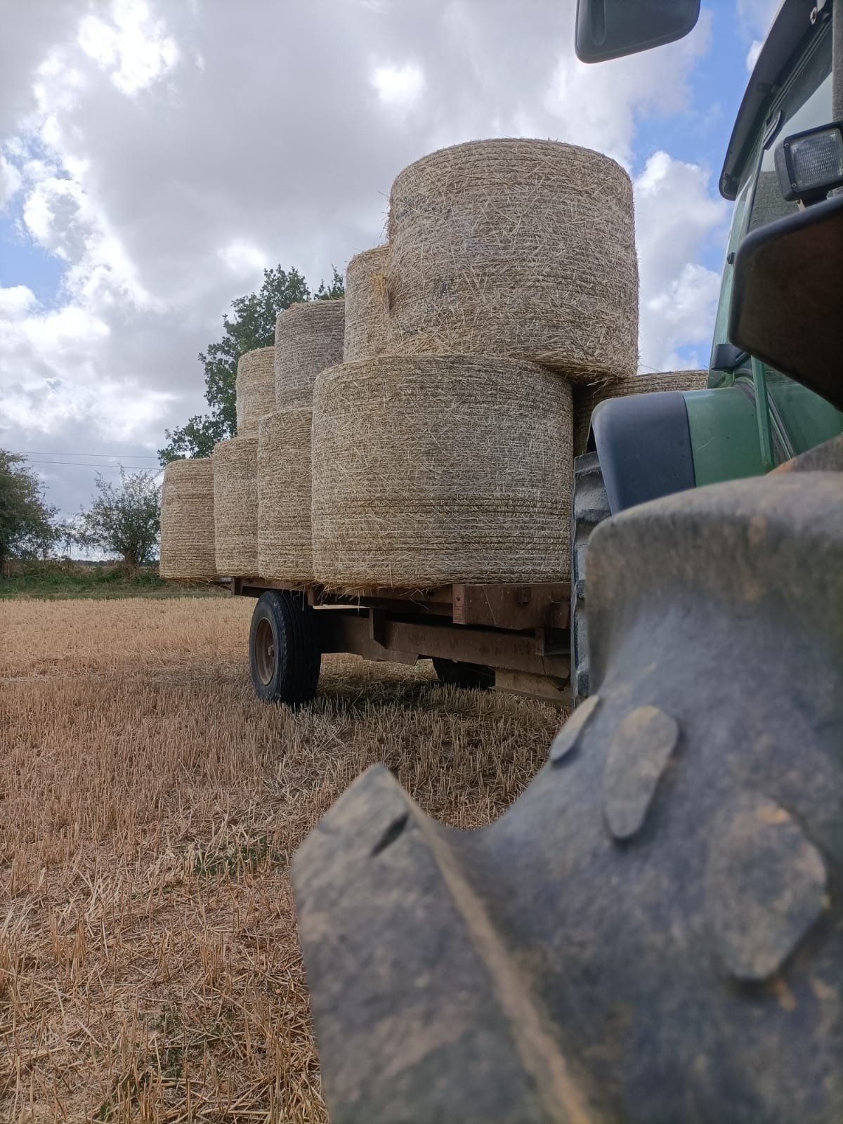 🌾 R&eacute;colte de bl&eacute; et d'orge 🌾