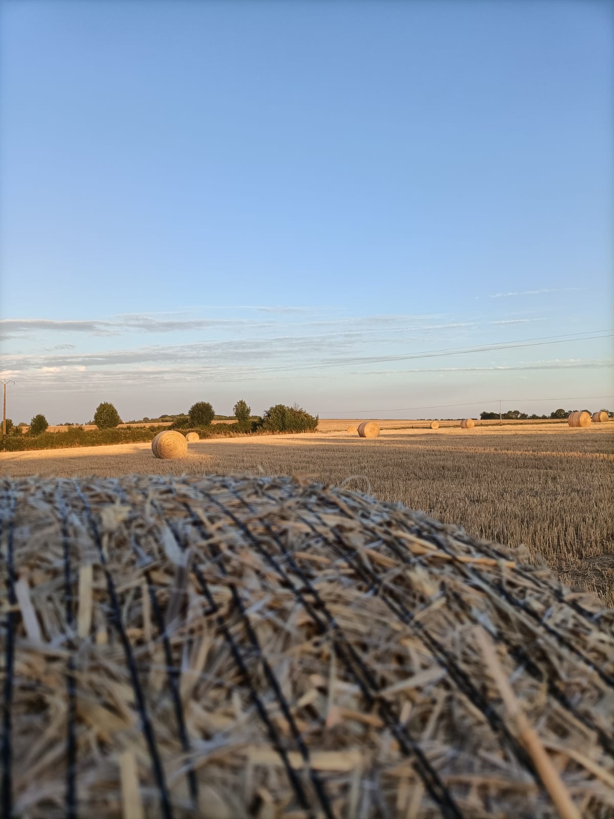 🌾 R&eacute;colte de bl&eacute; et d'orge 🌾