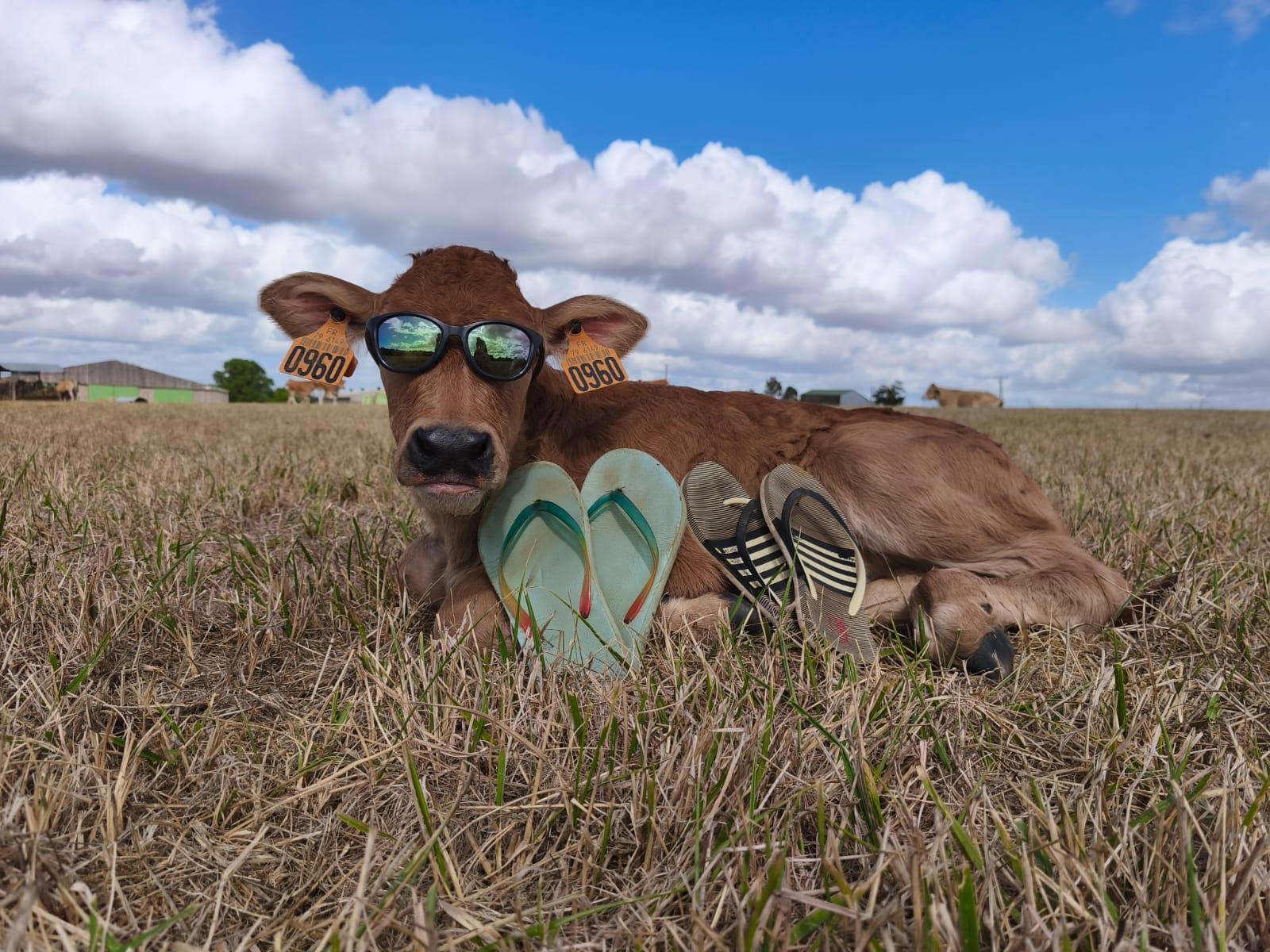 🎒 Rentr&eacute;e 2025 🎒