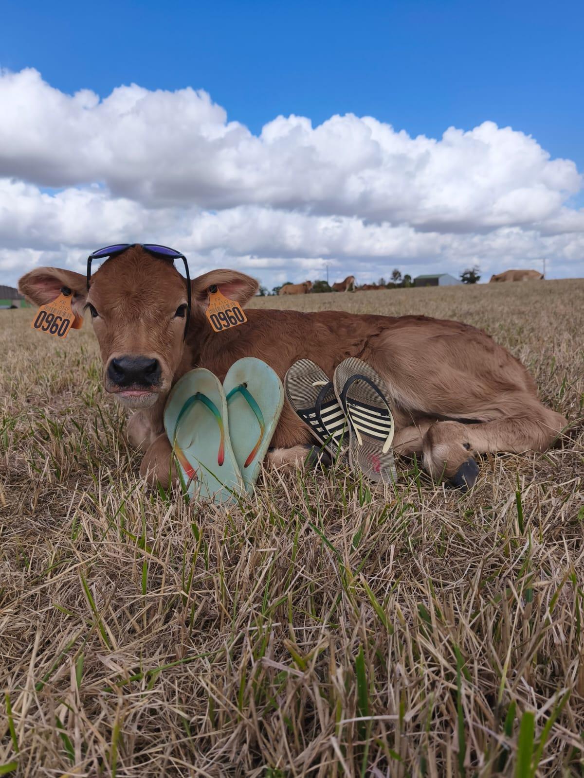 🎒 Rentr&eacute;e 2025 🎒