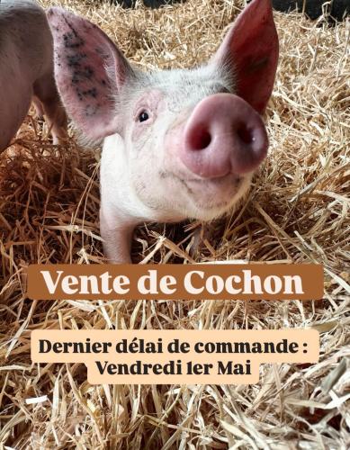 📦🐷 Vente de Cochon🐷📦