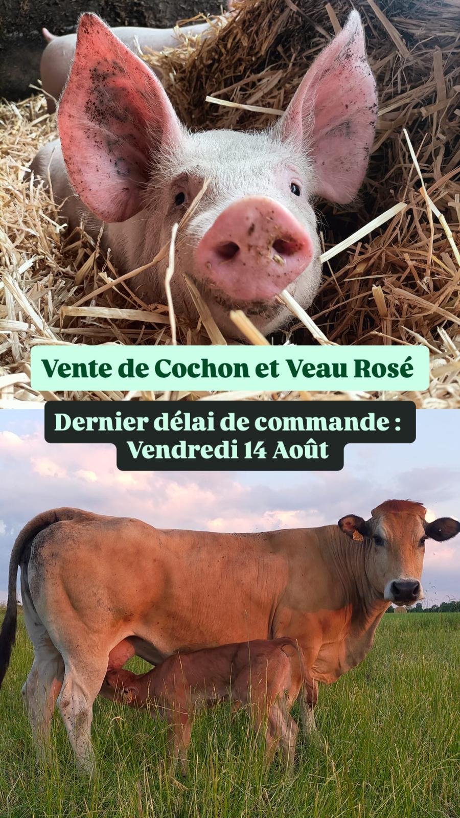 📦🐷🐮 Vente de Cochon et Veau Rosé🐷 🐮📦